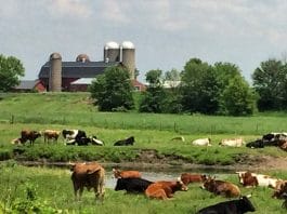 My work day started in the city. It ends with this.