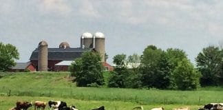 My work day started in the city. It ends with this.