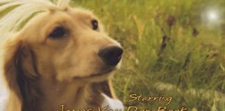 Dachshund’s Creek: Dawson’s Creek with wiener dogs!