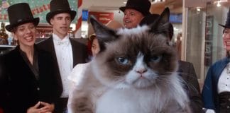 TRAILER: “Grumpy Cat’s Worst Christmas Ever” is happening