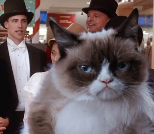TRAILER: “Grumpy Cat’s Worst Christmas Ever” is happening