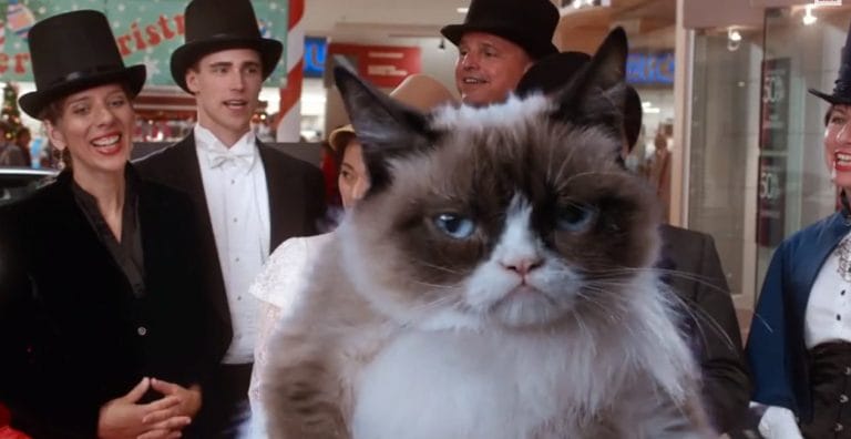 TRAILER: “Grumpy Cat’s Worst Christmas Ever” is happening TRAILER: “Grumpy Cat’s Worst Christmas Ever” is happening