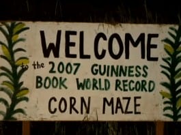 Visitors stuck in World’s Largest Corn Maze call 911 for help
