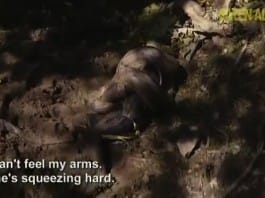 Funniest reactions to EATEN ALIVE Discovery Channel special