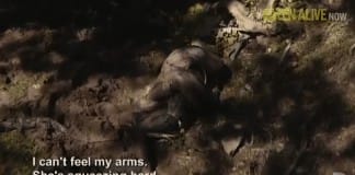 Funniest reactions to EATEN ALIVE Discovery Channel special