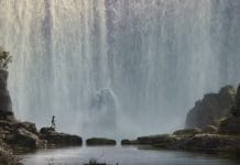 Watch the first trailer for Disney’s live-action THE JUNGLE BOOK