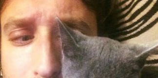 I would say the new cat is making himself right at home