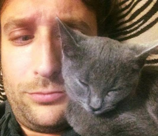 I would say the new cat is making himself right at home