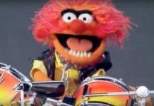 The Muppets band Dr. Teeth and the Electric Mayhem performed LIVE and it was amazing