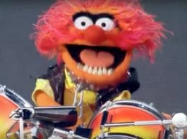 The Muppets band Dr. Teeth and the Electric Mayhem performed LIVE and it was amazing