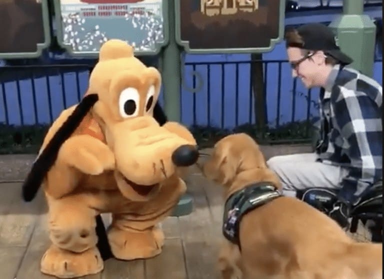 Watch the moment a service dog meets Pluto at Disney World