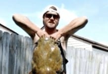 Fisherman catches record-breaking catfish with $20 rod from Walmart