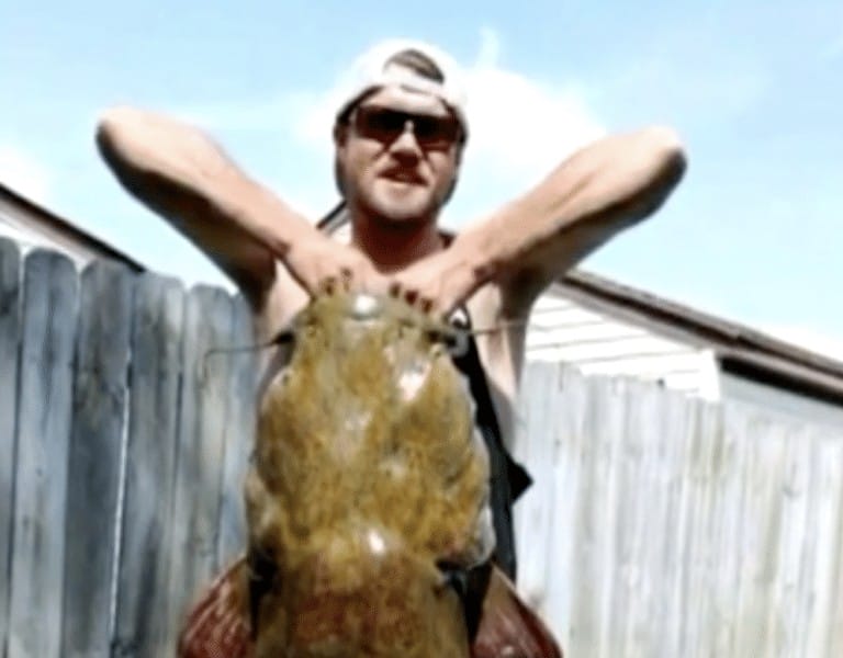 Fisherman catches record-breaking catfish with $20 rod from Walmart