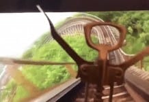 Mr. Bottle Opener rides a roller coaster and it is delightful