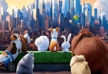 Secret Life of Pets ride coming to Universal Studios Hollywood