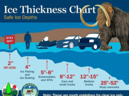 Alaska DNR offers ice thickness warning for your Woolly Mammoth