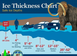 Alaska DNR offers ice thickness warning for your Woolly Mammoth