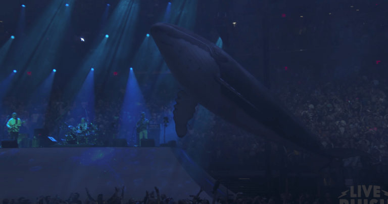 Phish whale and dolphin drones turn Madison Square Garden into an aquarium Phish whale and dolphin drones turn Madison Square Garden into an aquarium