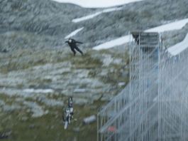 Watch Tom Cruise pull off the ‘biggest stunt in cinema history’ for new Mission: Impossible movie